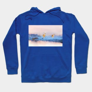 Deer at Winter Pond Hoodie